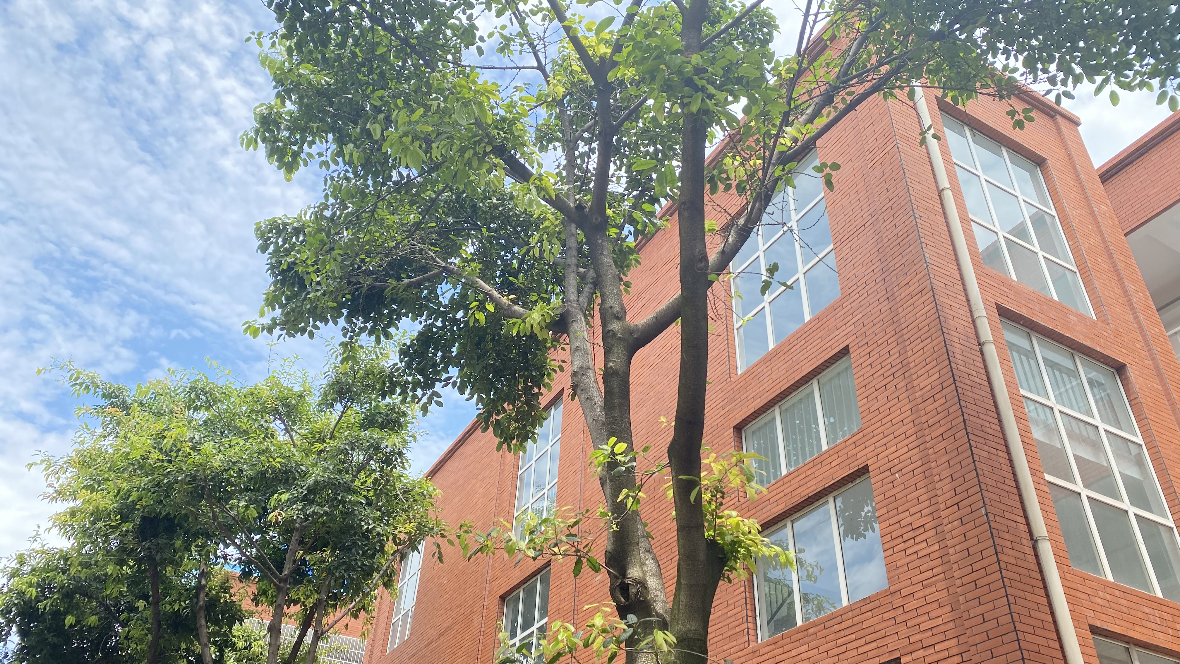 东电-刘英-魅力工厂（2）