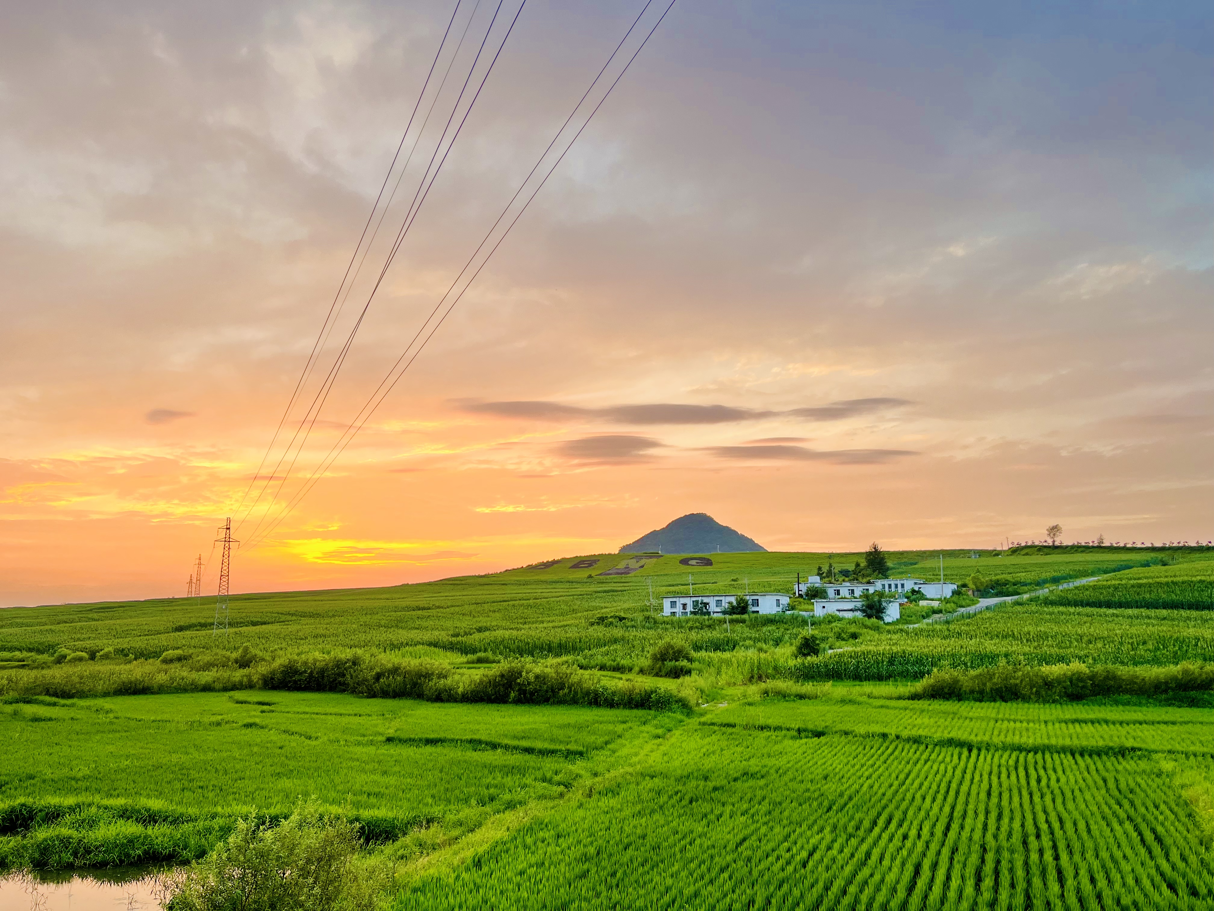 2、夏.jpg